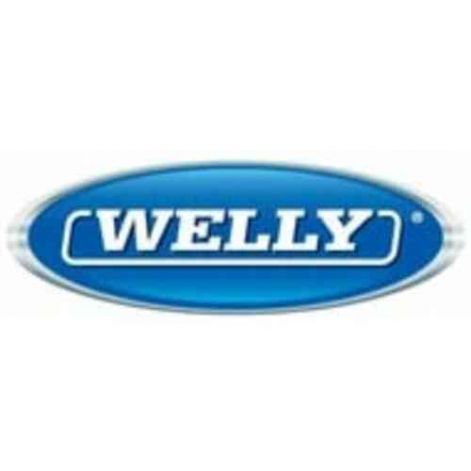welly_3.jpg